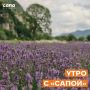 Информация, которая может тебе пригодиться