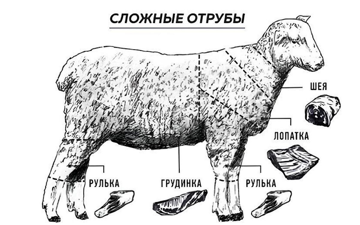 Как выбрать идеальную баранину: секреты от профессионалов