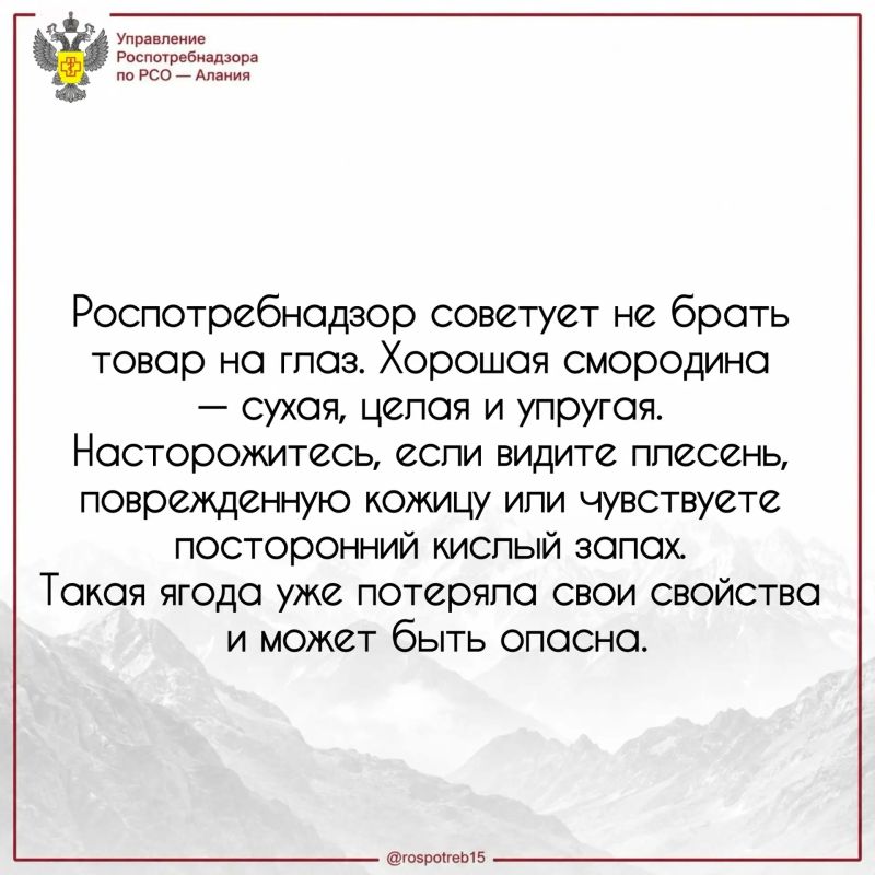 14 июля отмечают День смородины 14 июля отмечают День смородины