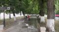 Сотрудники ВМБУ «Спецэкосервис» провели очередную масштабную уборку аллеи на проспекте Мира