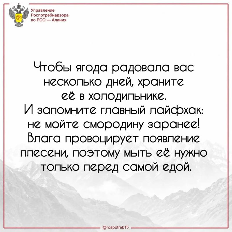 14 июля отмечают День смородины 14 июля отмечают День смородины