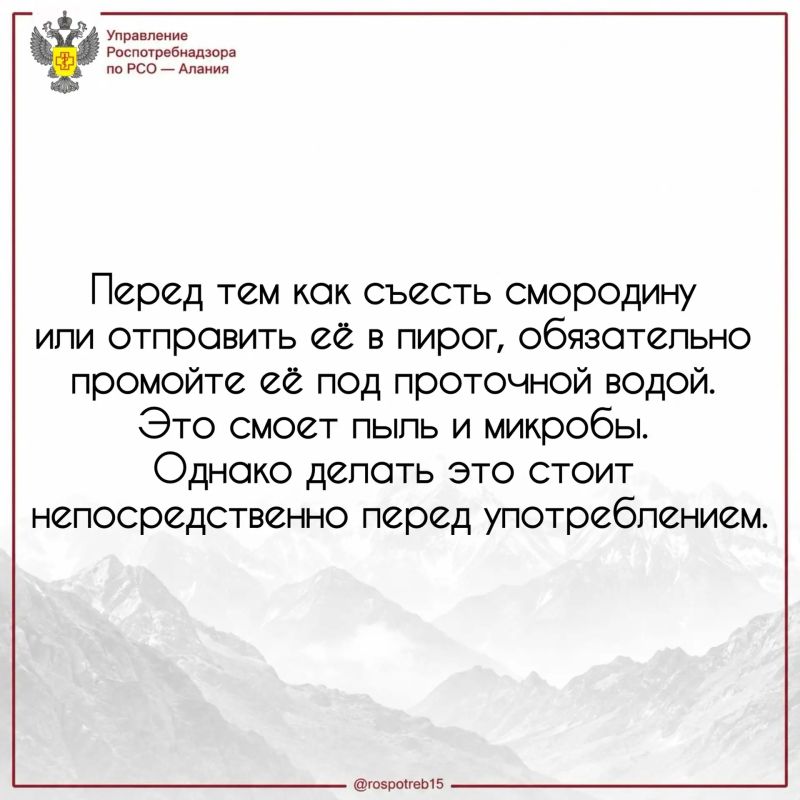 14 июля отмечают День смородины 14 июля отмечают День смородины