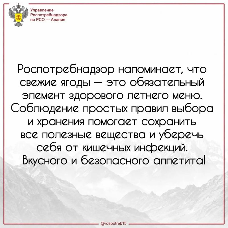 14 июля отмечают День смородины 14 июля отмечают День смородины