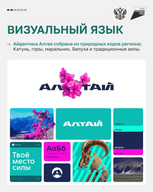 Разбираем кейс единого бренда Республики Алтай Разбираем кейс единого бренда Республики Алтай