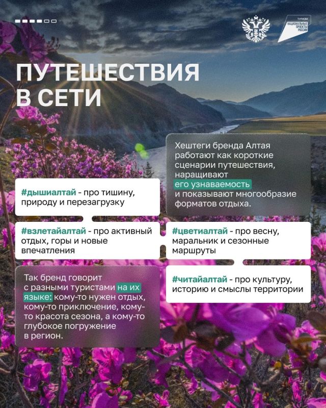 Разбираем кейс единого бренда Республики Алтай Разбираем кейс единого бренда Республики Алтай
