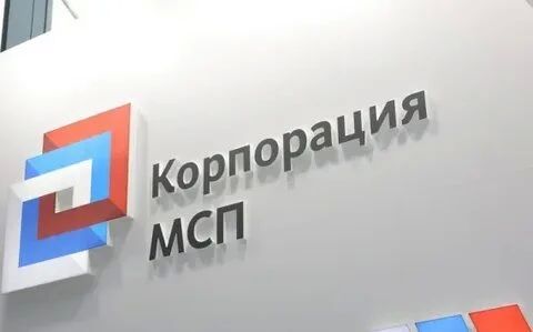 В Северной Осетии число МСП приоритетных отраслях выросло на 12%