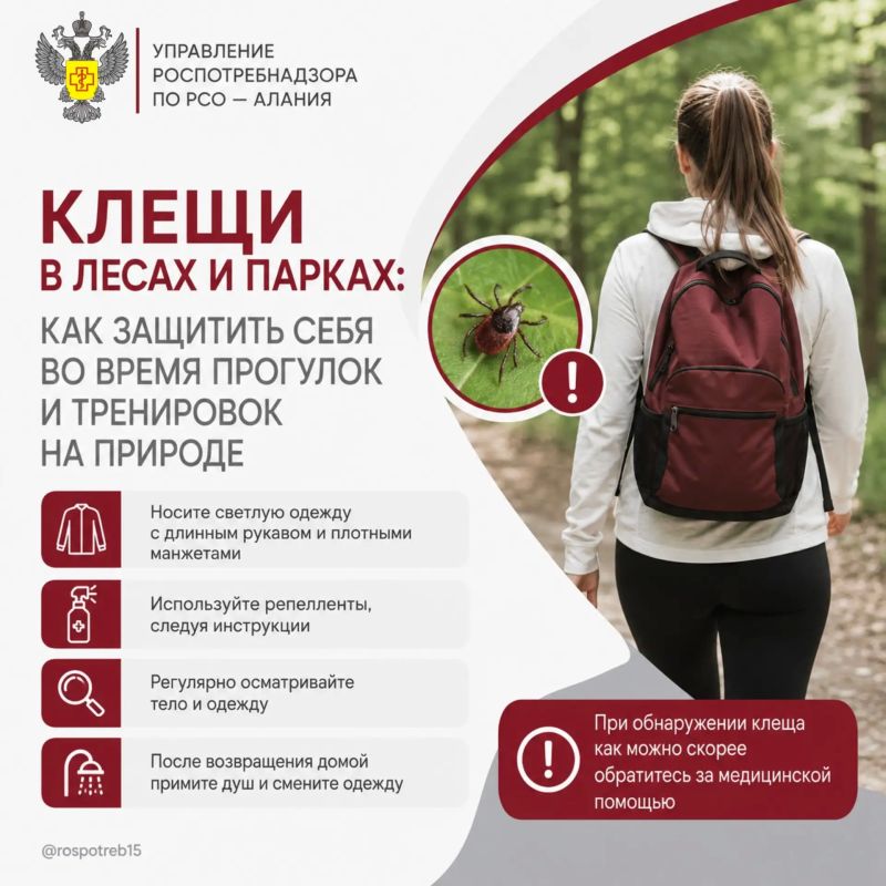 Клещи в лесах и парках: как защитить себя во время прогулок и тренировок на природе