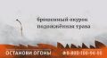 Северной Осетии продолжается информационная противопожарная кампания «Останови огонь» в поддержку федерального проекта «Сохранение лесов» национального проекта «Экологическое благополучие»