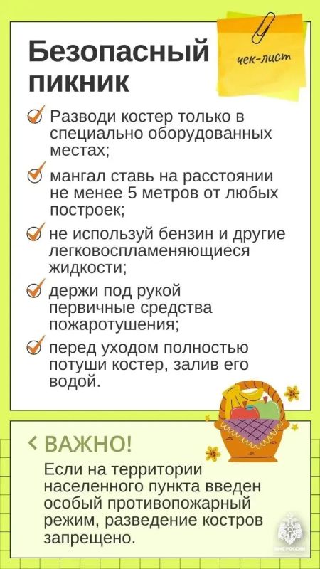 Пикник на природе — это радость и возможность провести время с близкими в приятной обстановке
