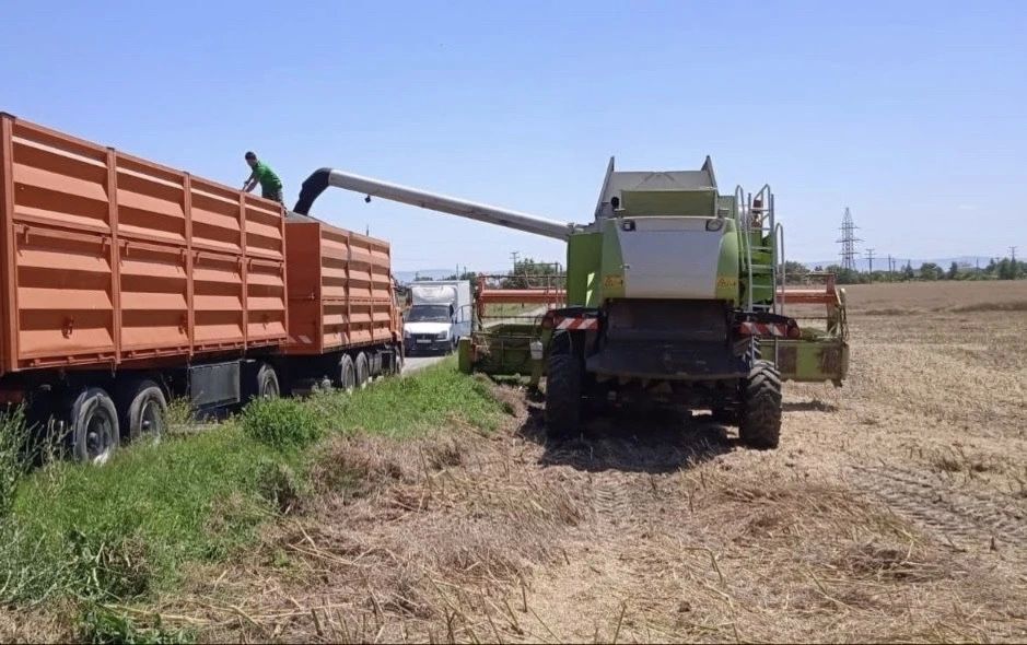 Сергей Меняйло: В Северной Осетии аграрии уже убрали почти 67 тысяч гектаров озимых и яровых культур