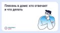 Что делать, если в квартире появилась плесень?